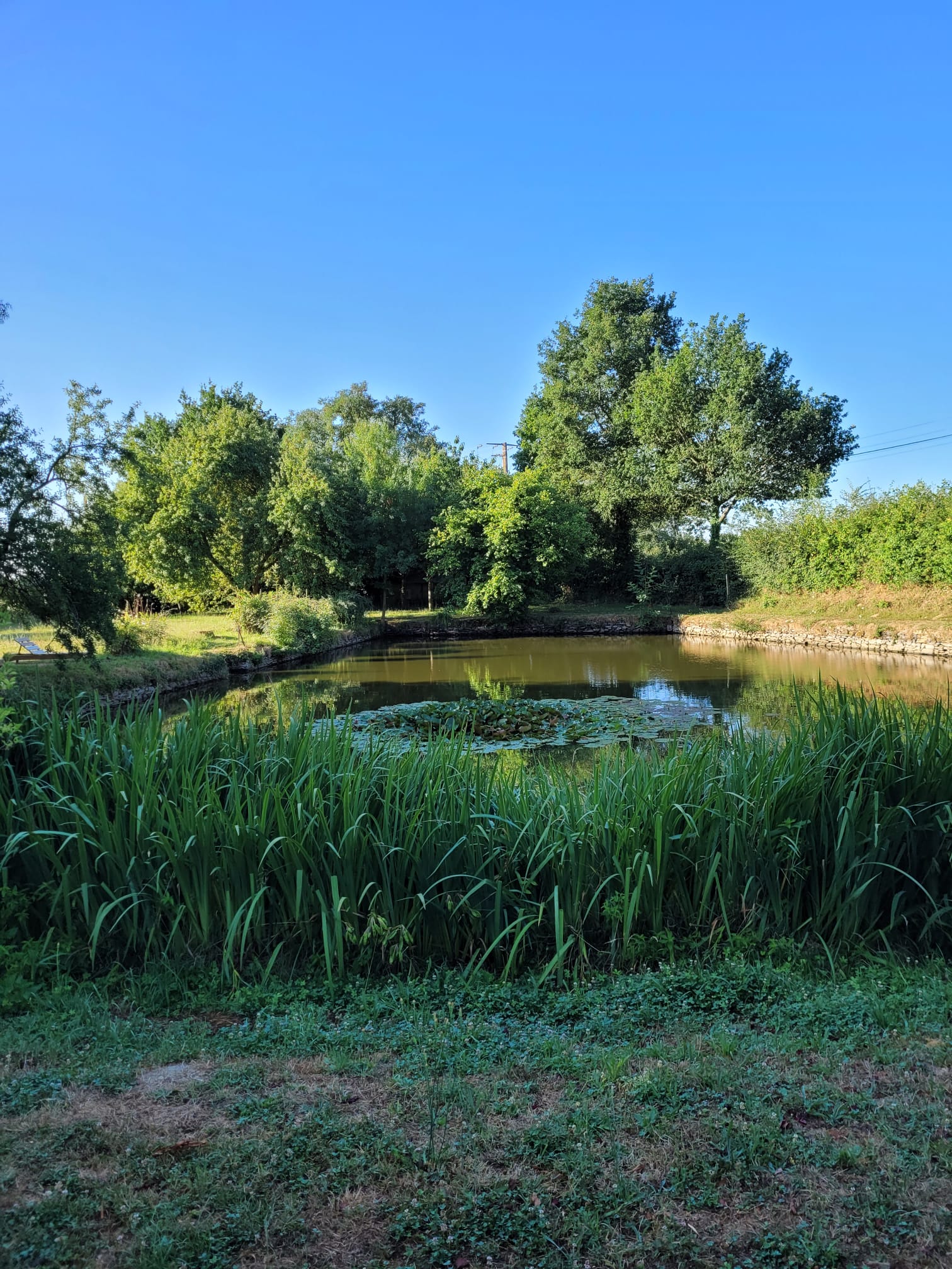 WEEKEND DES ARTS à Loré (12)